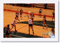 vs Seaman * (216 Slides)